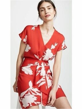 Silk Joie Dress